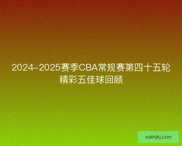 2024-2025赛季CBA常规赛第四十五轮精彩五佳球回顾