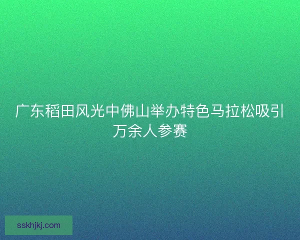 广东稻田风光中佛山举办特色马拉松吸引万余人参赛 广东稻田风光中佛山举办特色马拉松吸引万余人参赛